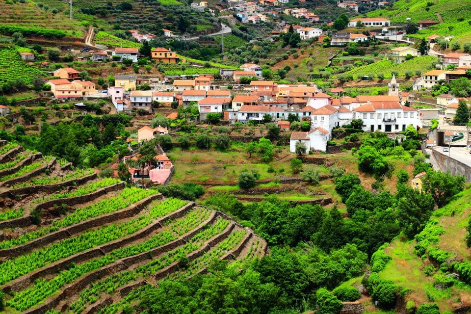 Le goût du Nord du Portugal – photo 8 sur 8