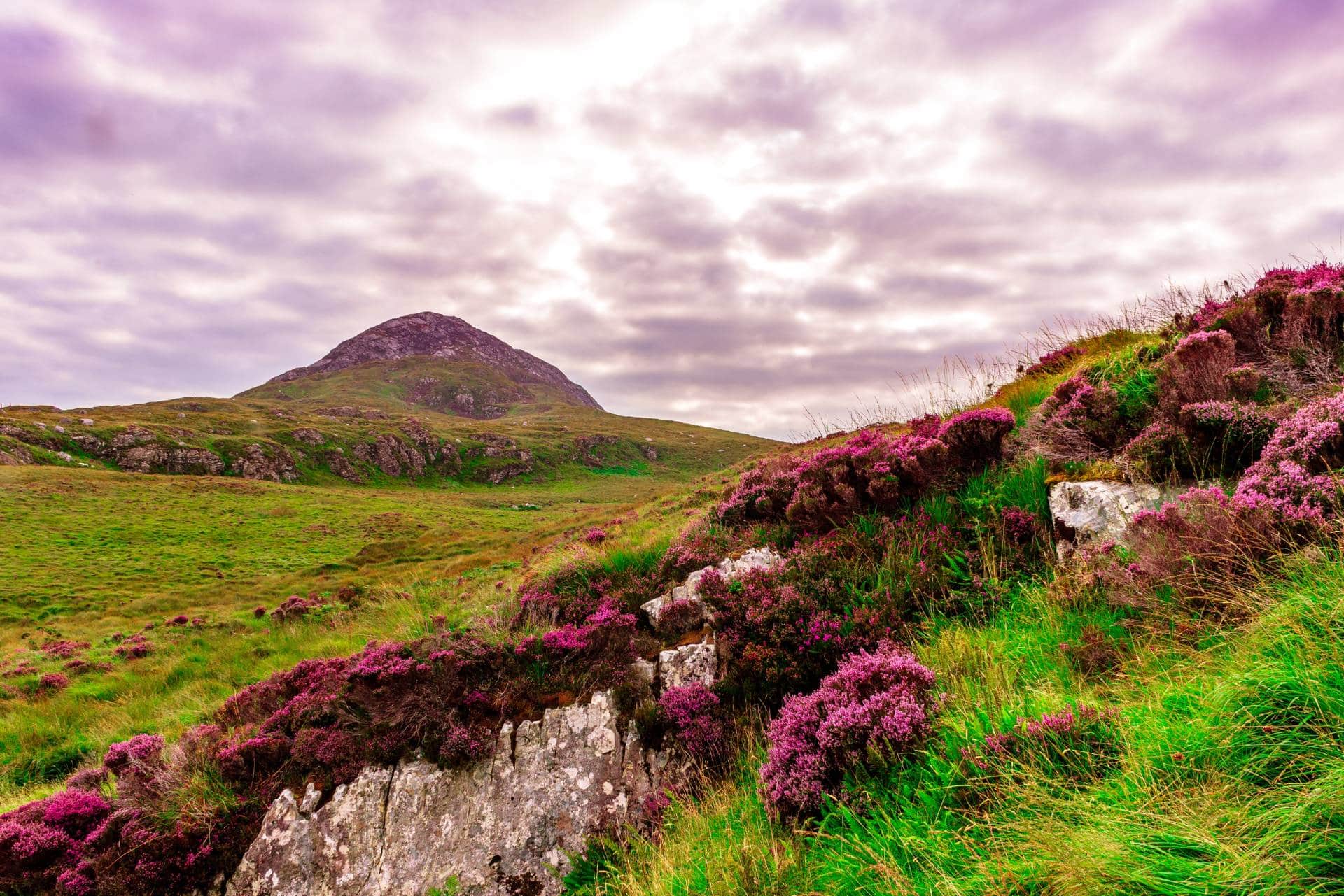 Charmes de l'Irlande – photo 5 sur 6