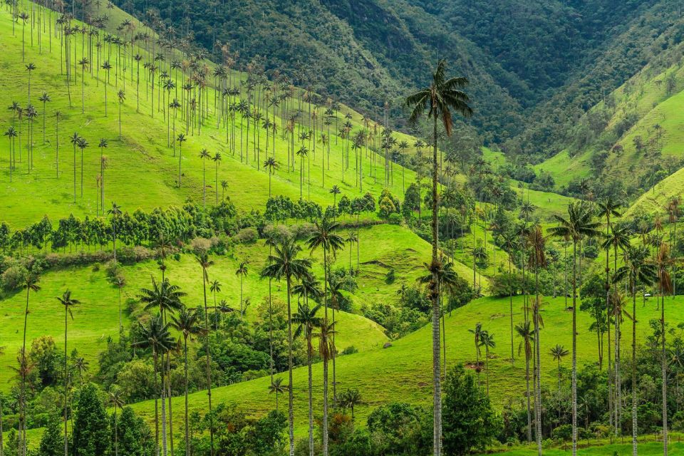 Les joyaux de la Colombie - Une aventure en or – photo 3 sur 3
