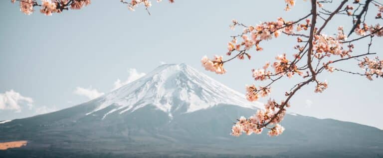 L'essentiel du Japon