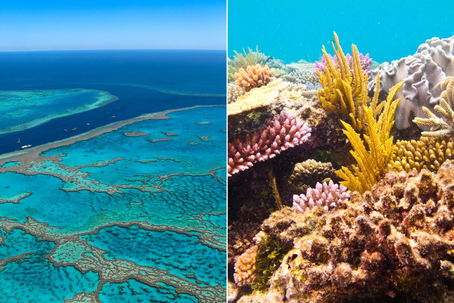 Incontournables de l'Australie – photo 3 sur 4