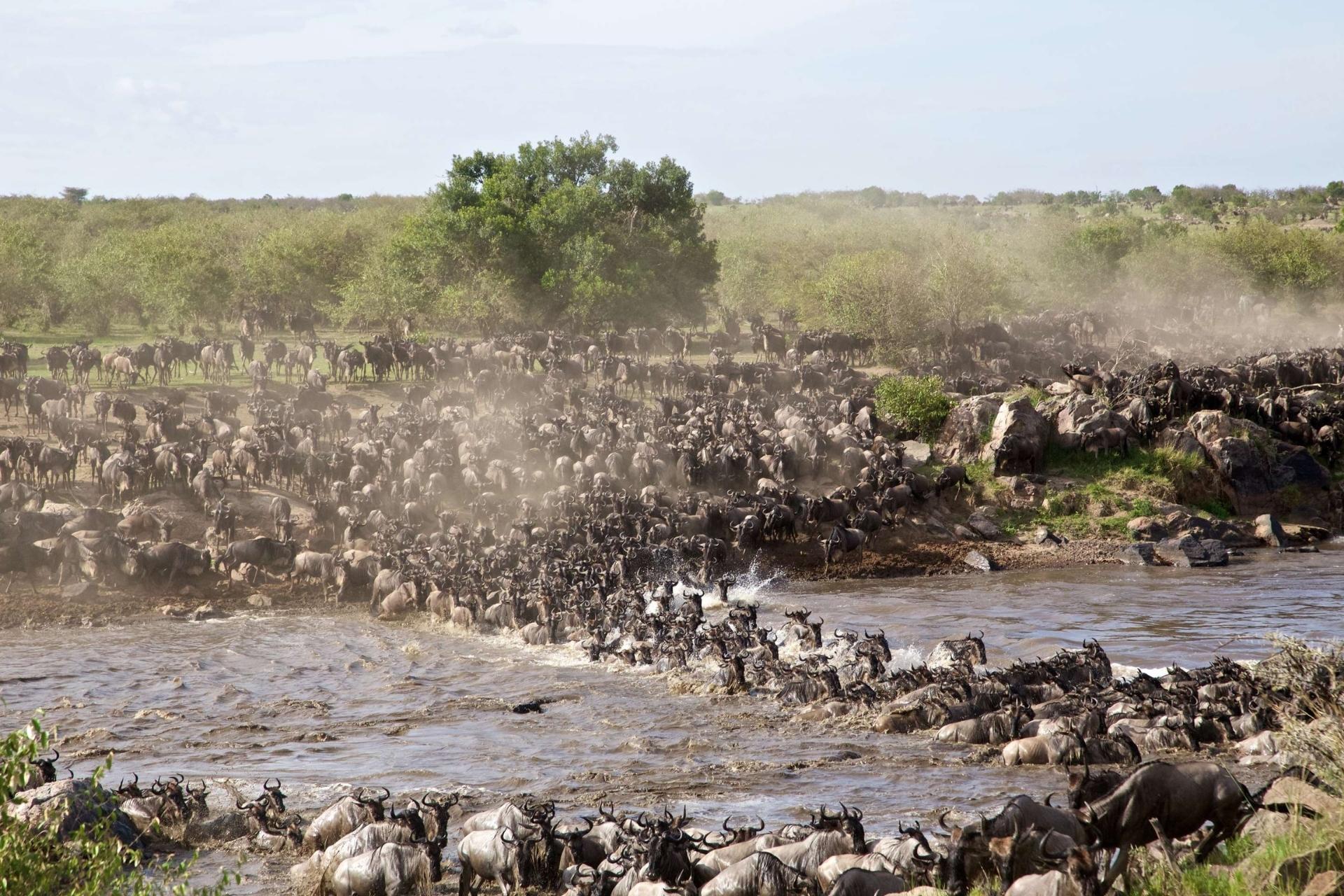Safari en Afrique de l'est – photo 2 sur 6