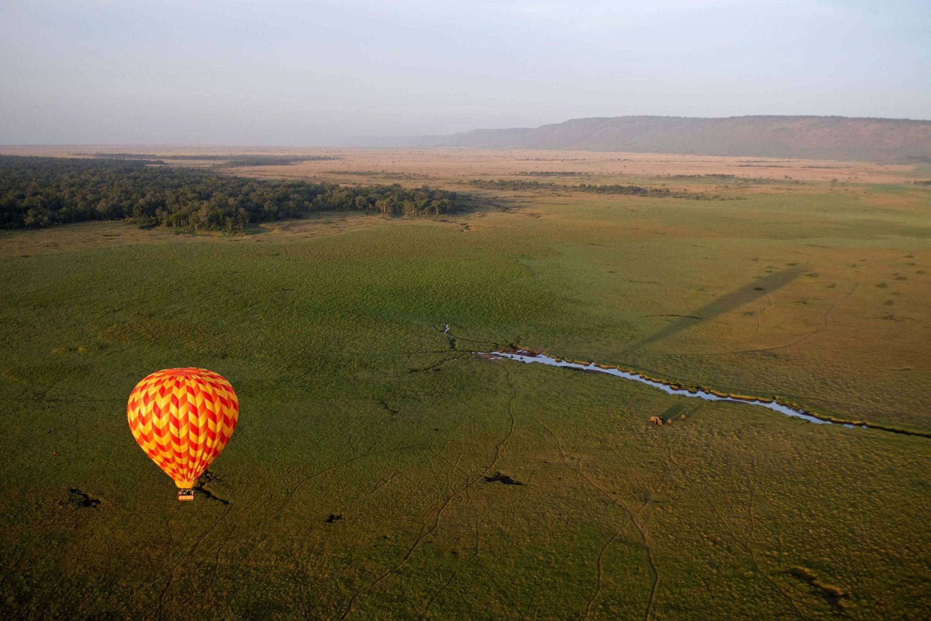Safari en Afrique de l'est – photo 5 sur 6