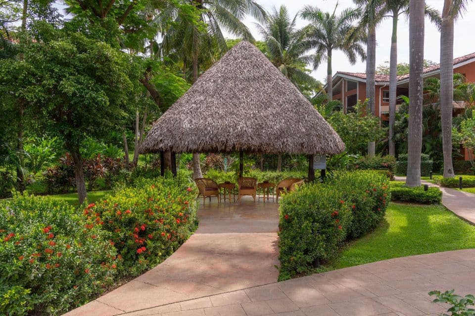 Occidental Tamarindo – photo 10 of 12