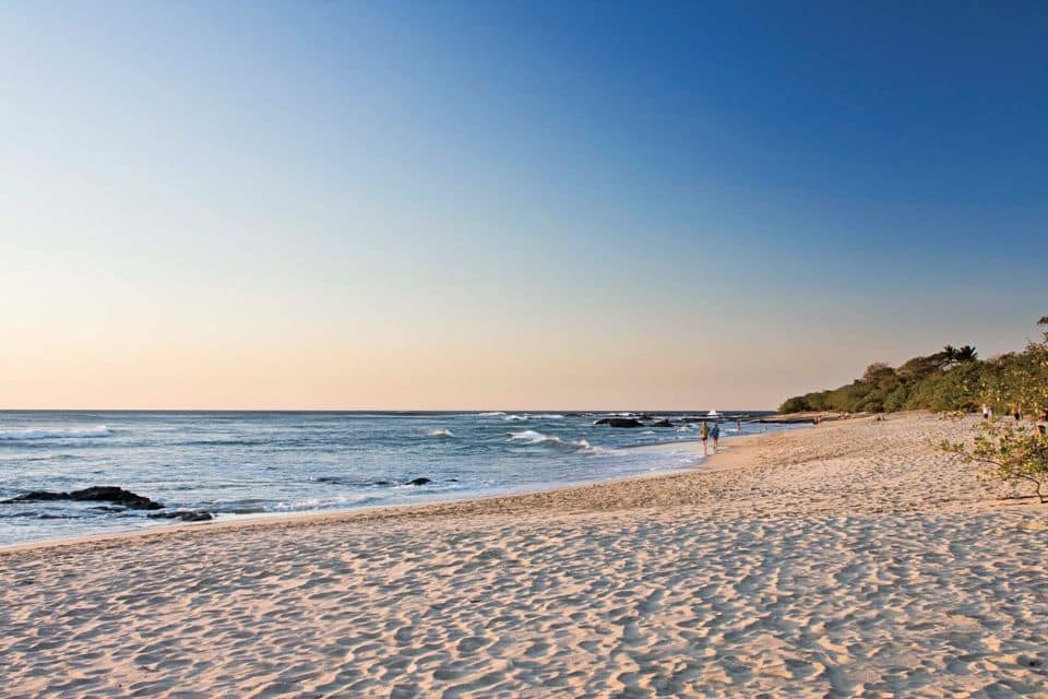 Occidental Tamarindo – photo 8 of 12